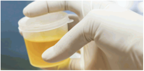Real Powdered urine to pass drug test